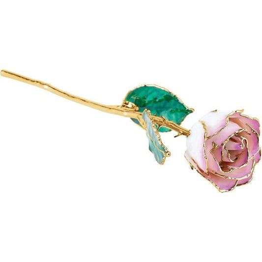 Lacquered Cream Picasso Rose with Gold Trim - BN & CO JEWELRY