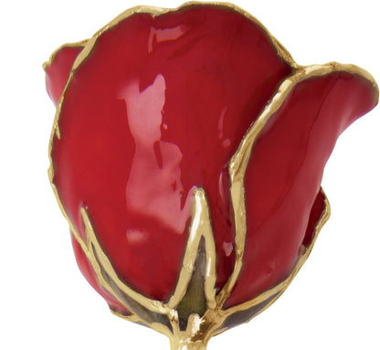 Lacquered Red Rose with Gold Trim - BN & CO JEWELRY