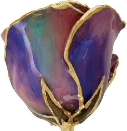 Lacquered October Opal Colored Rose with Gold Trim - BN & CO JEWELRY