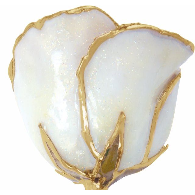 Lacquered Sparkle White Diamond Colored Rose with Gold Trim - BN & CO JEWELRY