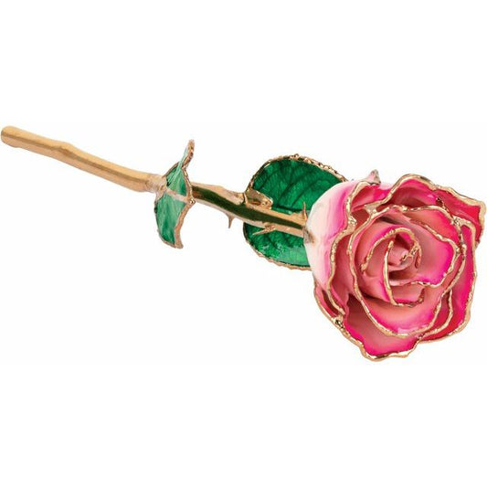 Lacquered Cream Magenta Rose with Gold Trim - BN & CO JEWELRY