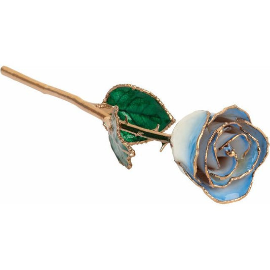 Lacquered Cream Blue Rose with Gold Trim - BN & CO JEWELRY