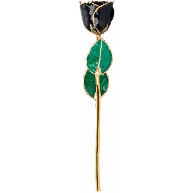 Lacquered Black Rose with Gold Trim - BN & CO JEWELRY