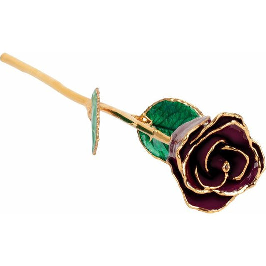 Lacquered Burgundy Rose with Gold Trim - BN & CO JEWELRY