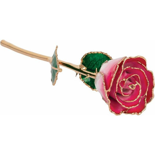 Lacquered Cream Red Rose with Gold Trim - BN & CO JEWELRY