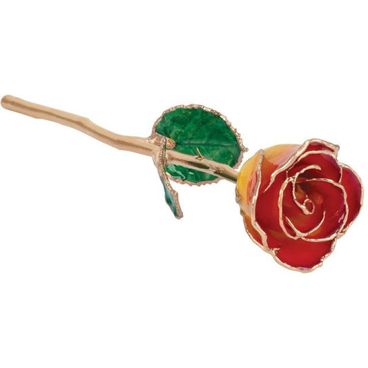 Lacquered Sunset Yellow & Red Rose with Gold Trim - BN & CO JEWELRY