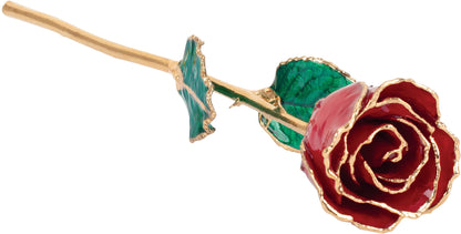 Lacquered July Ruby Colored Rose with Gold Trim - BN & CO JEWELRY