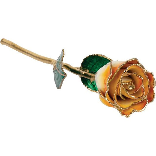Lacquered Cream Orange Rose with Gold Trim - BN & CO JEWELRY