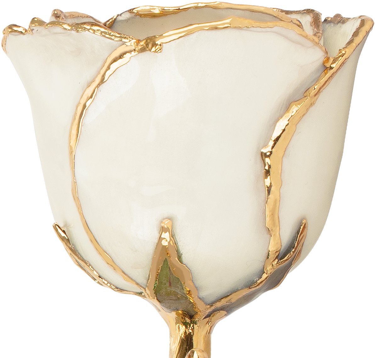 Lacquered June Pearl Colored Rose with Gold Trim - BN & CO JEWELRY