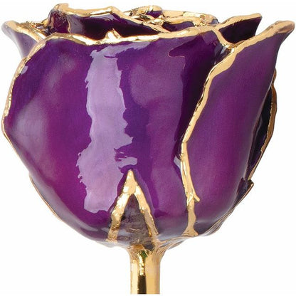 Lacquered Purple Rose with Gold Trim - BN & CO JEWELRY