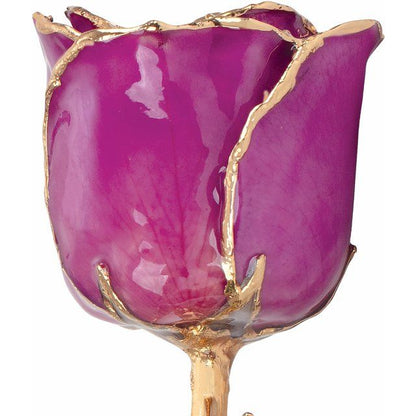 Lacquered Amethyst Colored Rose with Gold Trim - BN & CO JEWELRY
