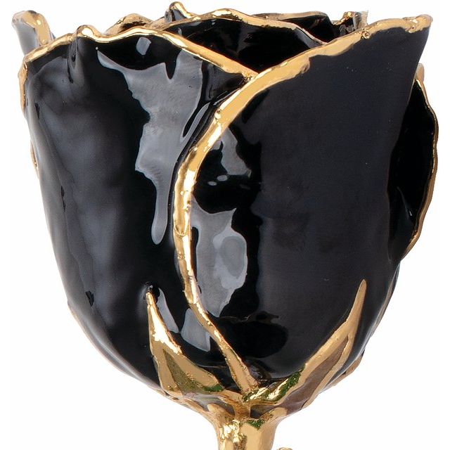 Lacquered Black Rose with Gold Trim - BN & CO JEWELRY