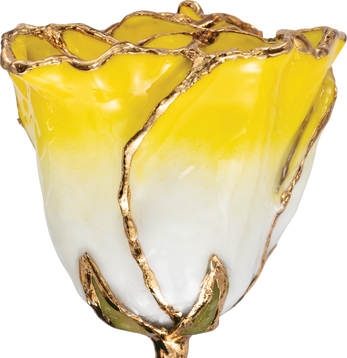 Lacquered Cream Yellow Rose with 24K Gold Trim - BN & CO JEWELRY