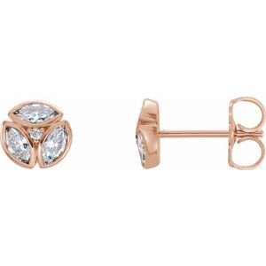14K Rose 1/2 CTW Natural Diamond Earrings - BN & CO JEWELRY