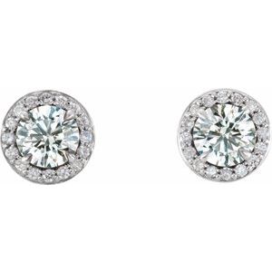 14K White 1 CTW Natural Diamond Halo-Style Earrings - BN & CO JEWELRY