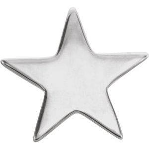 14K White 6.2 mm Star Friction Post Earring - BN & CO JEWELRY