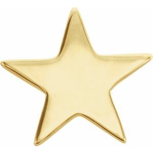 14K Yellow 6.2 mm Star Friction Post Earring - BN & CO JEWELRY